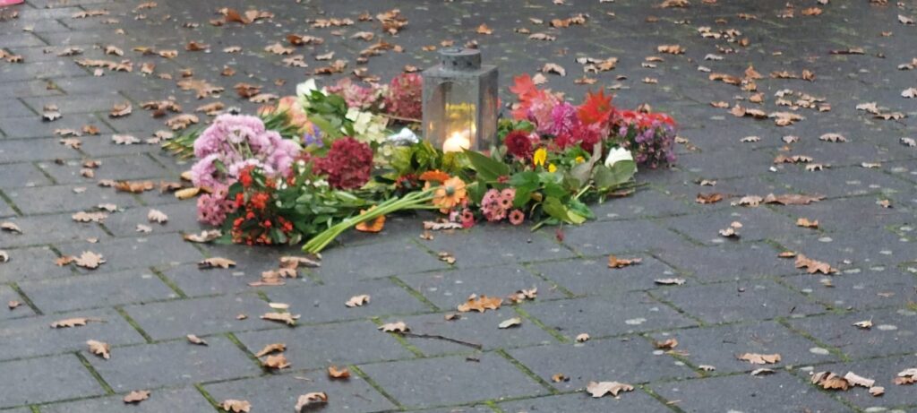 De huidige afbeelding heeft geen alternatieve tekst. De bestandsnaam is: bloemen.jpeg