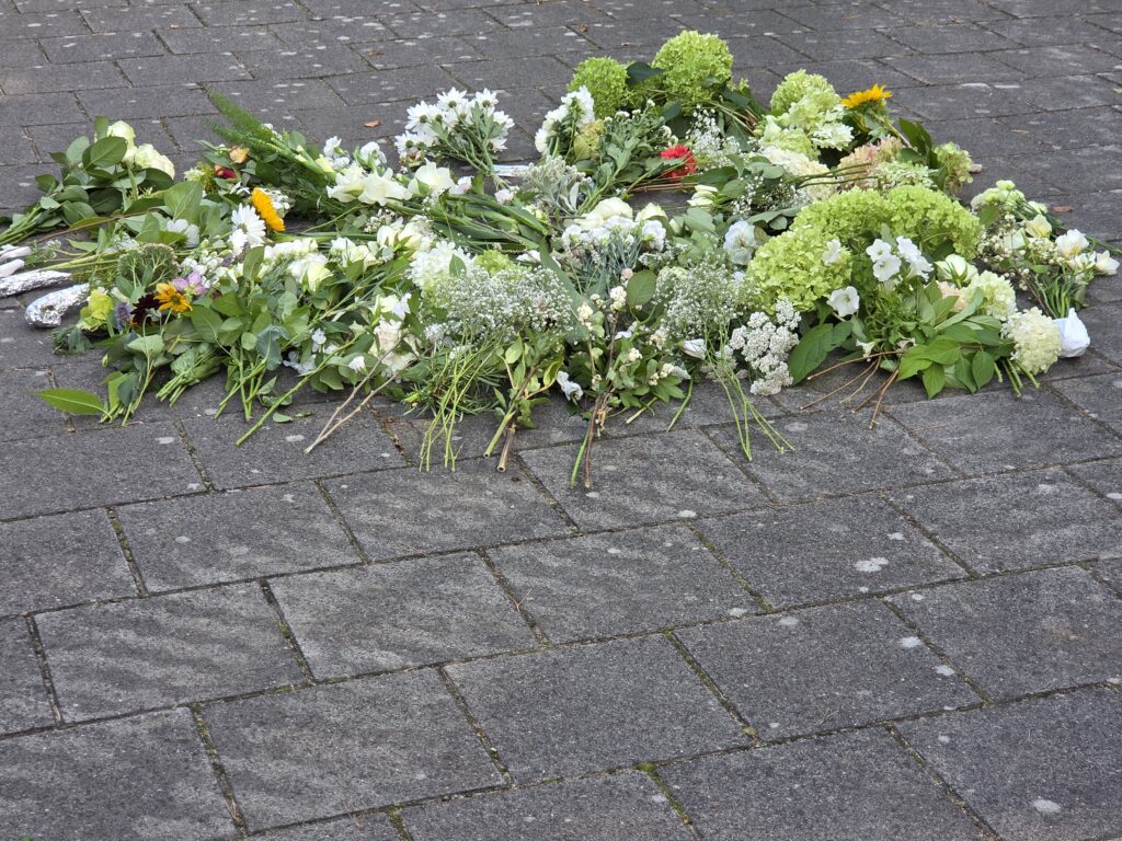 De huidige afbeelding heeft geen alternatieve tekst. De bestandsnaam is: 20260906_163552-scaled.jpg